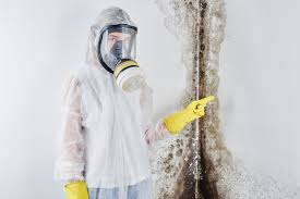 Mold Remediation for Rental Properties in Gallatin, TN